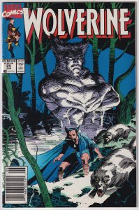 Wolverine #25 (1990) Jim Lee cover art NEWSSTAND EDITION