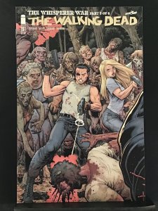 The Walking Dead #161 Variant Cover (2016)