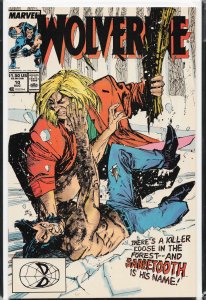 Wolverine #10 (1989) Wolverine