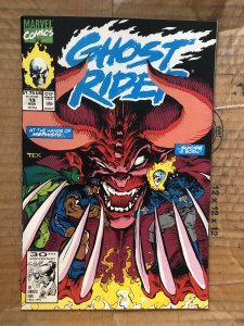 Ghost Rider #19 (1991)