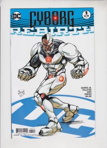 Nightwing: Rebirth Babs Tarr Cover (2016)