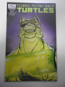 Teenage Mutant Ninja Turtles #38 (2014)