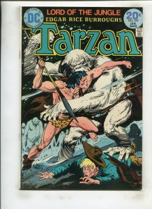 TARZAN #227 (6.5) KUBERT!! 1974
