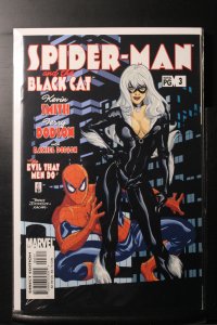 Spider-Man/Black Cat: The Evil that Men Do #3 (2002)
