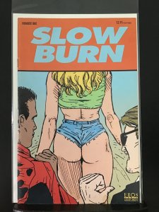 Slow Burn (1995)