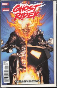 Ghost Rider: Cycle of Vengeance (2012) Ghost Rider