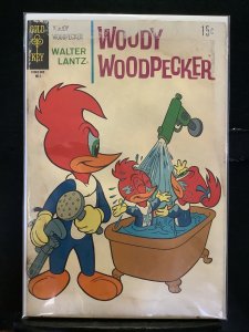 Walter Lantz Woody Woodpecker #111