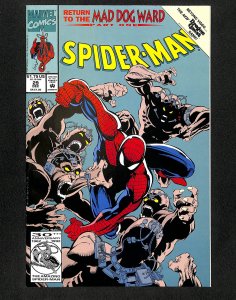 Spider-Man #29