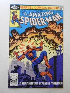 The Amazing Spider-Man #218 (1981) FN/VF Condition!
