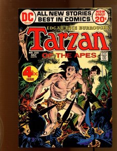 Tarzan #210 - Joe Kubert Cover Art! (8.0) 1972