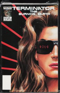 The Terminator: The Burning Earth #2 (1990) The Terminator