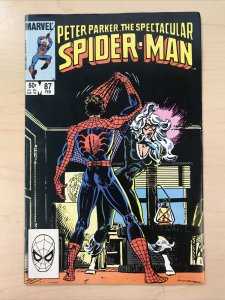 Spectacular Spider-Man 87