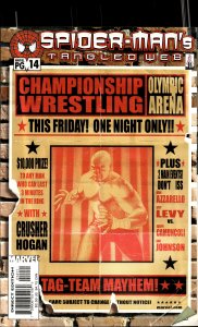 Spider-Man's Tangled Web #19 Direct Edition (2002) Spider-Man