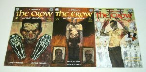 the Crow: Wild Justice #1-3 VF/NM complete series - john mueller charlie adlard