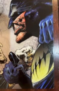 Batman/Lobo: Deadly Serious #1 (2007)