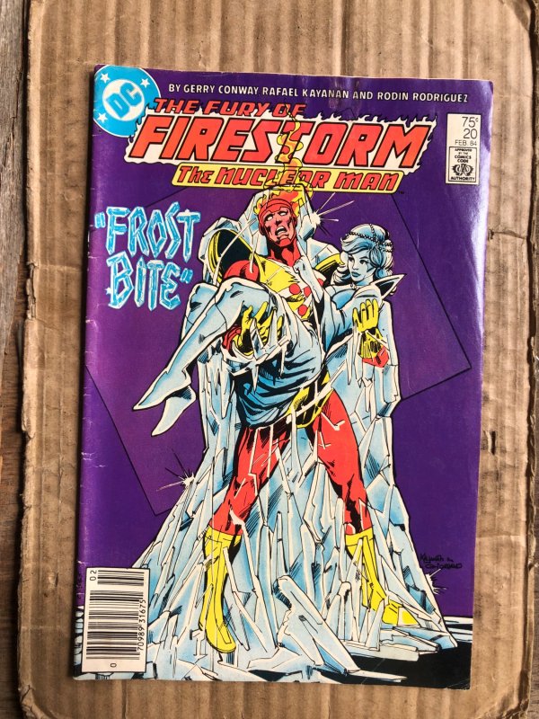 The Fury of Firestorm #20 (1984)