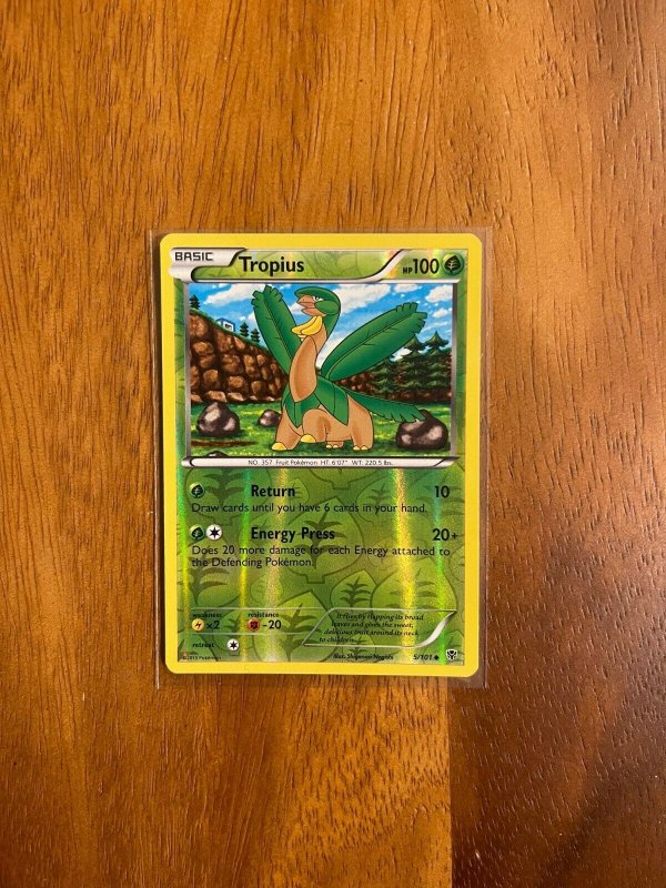 Tropius 5/101 2013 Uncommon Reverse Holo Pokemon Trading Card Game TCG