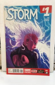 Storm #1 (2014)