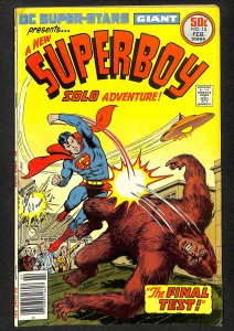 DC Super Stars #12 (1977)