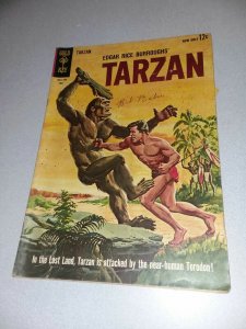 Tarzan Of The Jungle 12 Issue Silver Bronze Age Comics Lot Run Set Collection
