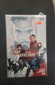 Injection #4  (2015)