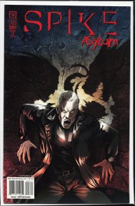 Spike: Asylum #3 Cover A (2006) Spike