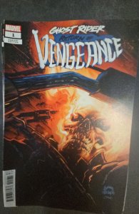 Ghost Rider: Return of Vengeance Stegman Cover C (2021)
