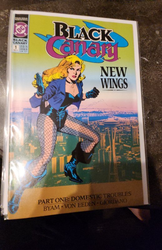 Black Canary #1 (1991)