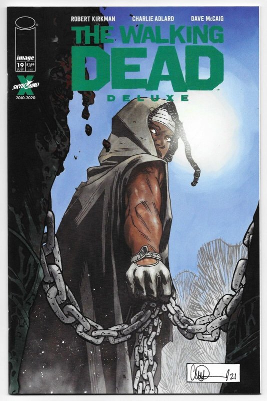 michonne walking dead comic