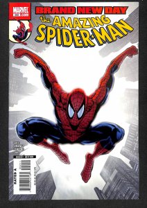 The Amazing Spider-Man #552 (2008)