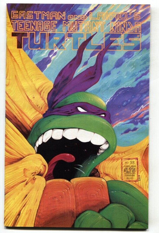 TEENAGE MUTANT NINJA TURTLES #22 comic book 1989 Mirage