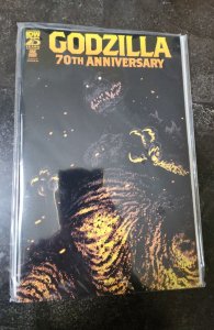 Godzilla: 70th Anniversary Cover B (2024)