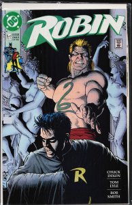 Robin #5 (1991)