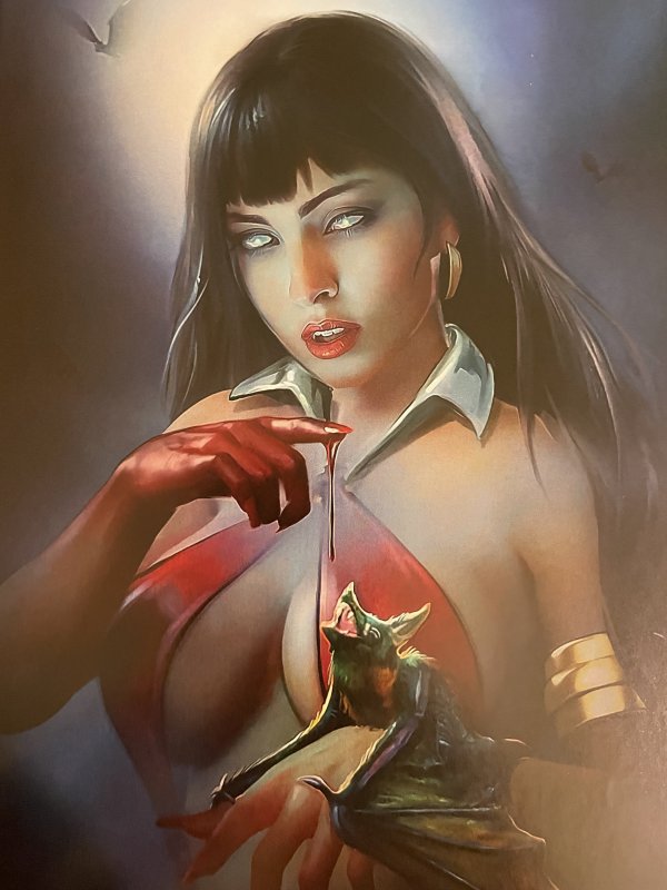 VAMPIRELLA #2 SHANNON MAER EXCLUSIVE VIRGIN COVER LTD 500 NM+