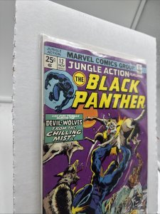 JUNGLE ACTION # 12 Marvel Comics November 1974 BLACK PANTHER NICE COPY
