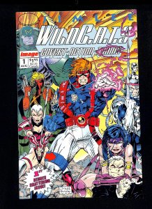 WildC.A.T.S. #1