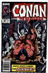 Conan the Barbarian #228 (1990) Conan