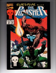 • The Punisher #78 (1993) / 0466-NSC•NCA2