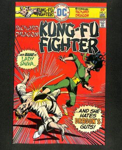 Richard Dragon, Kung-Fu Fighter #5
