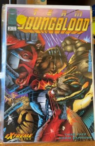Team Youngblood #3 (1993)