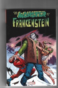 The Monster of Frankenstein (2015)