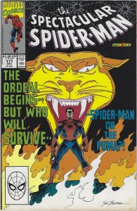 Spectacular Spider-Man #171