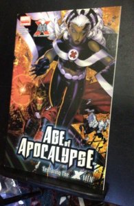 X-Men: Age of Apocalypse #5 (2005) Storm and Cyclops cover! High-grade! NM- Wow