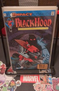 The Black Hood #1 (1991)