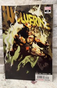 Wolverine #18 (2022)