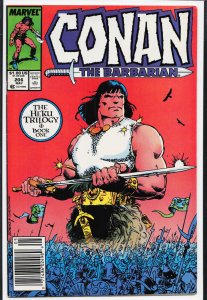 Conan the Barbarian #206 Newsstand Edition (1988) Conan