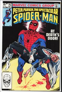 The Spectacular Spider-Man #76 (1983) Spider-Man