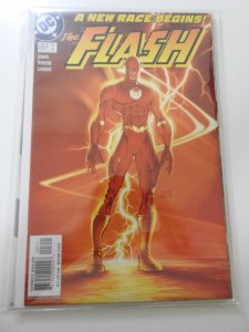 The Flash #207 (2004)