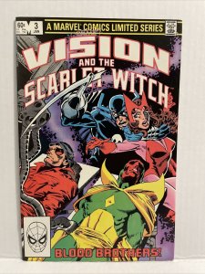 The Vision And The Scarlet Witch Volume 1 #3