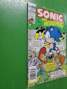 SONIC The HEDGEHOG #20 PRINCESS SALLY March 1995 ARCHIE Comics FN 